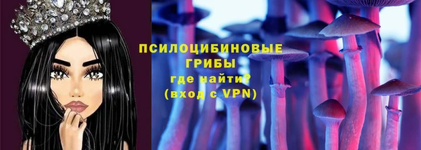 сатива Белокуриха