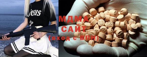гидра Ельня
