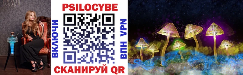 Галлюциногенные грибы GOLDEN TEACHER  купить наркоту  Ногинск 